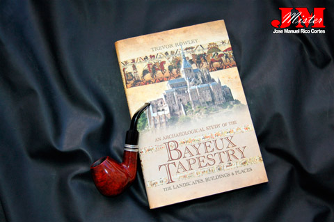 "An Archaeological Study of the Bayeux Tapestry. The Landscapes, Buildings and Places" (Estudio arqueológico del Tapiz de Bayeux. Los paisajes, edificios y lugares)