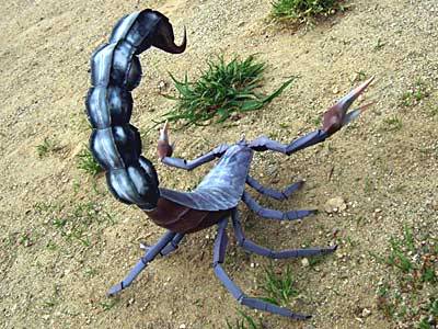 Recortable de Papel de un Escorpion para usarlo con nuestras figuras de Warhamer  5