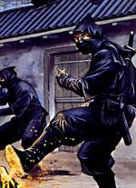 Los Ninjas